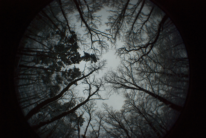 surrounded