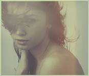 forget me not