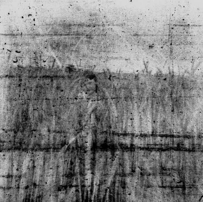 FIELDS OF GREY