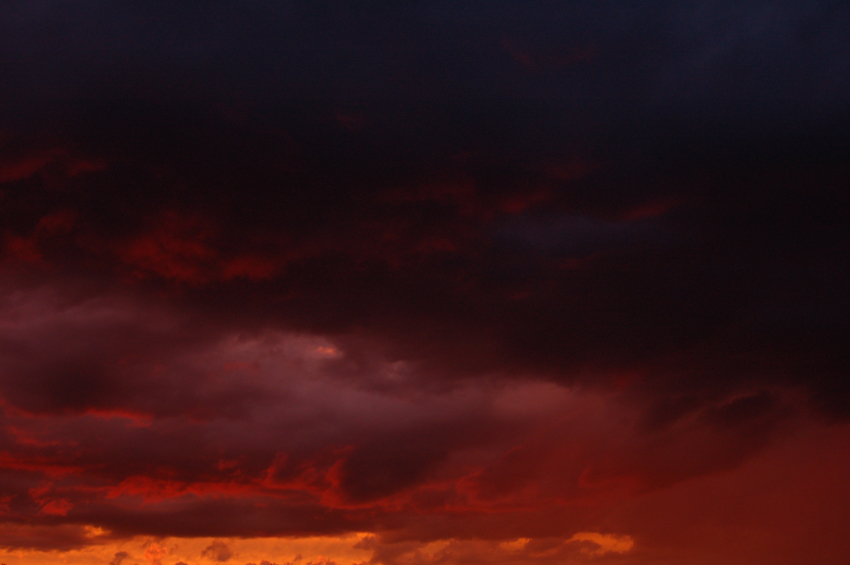 Purple Haze