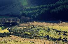 Wicklow Way