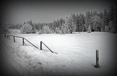 Zimowe klimaty