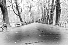 central park