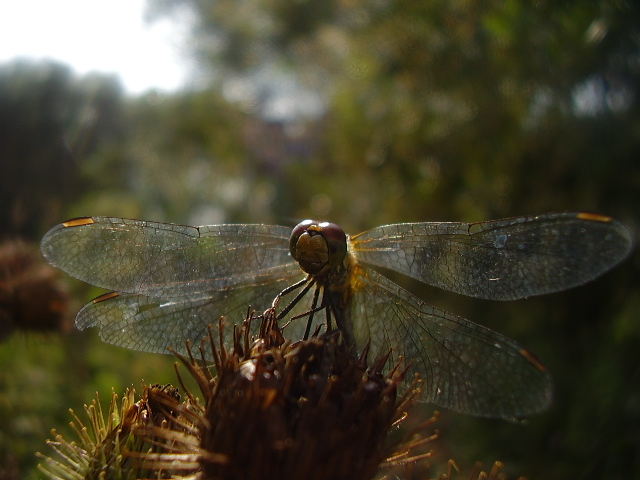 chwila wytchnienia