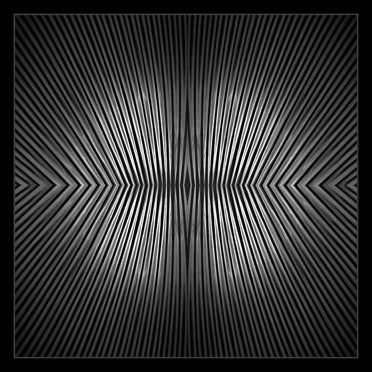 x4