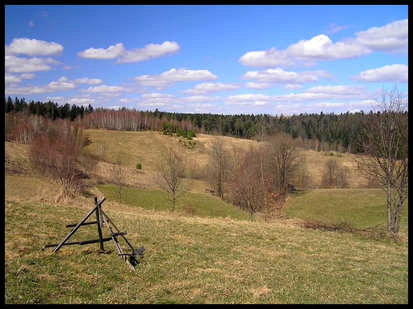 Wiosna