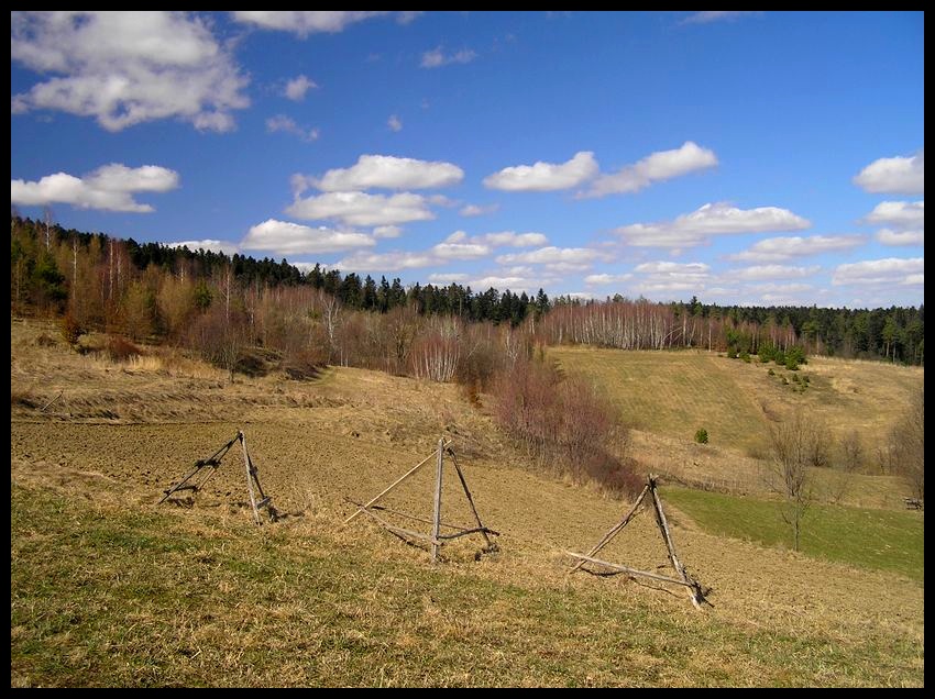 Wiosna