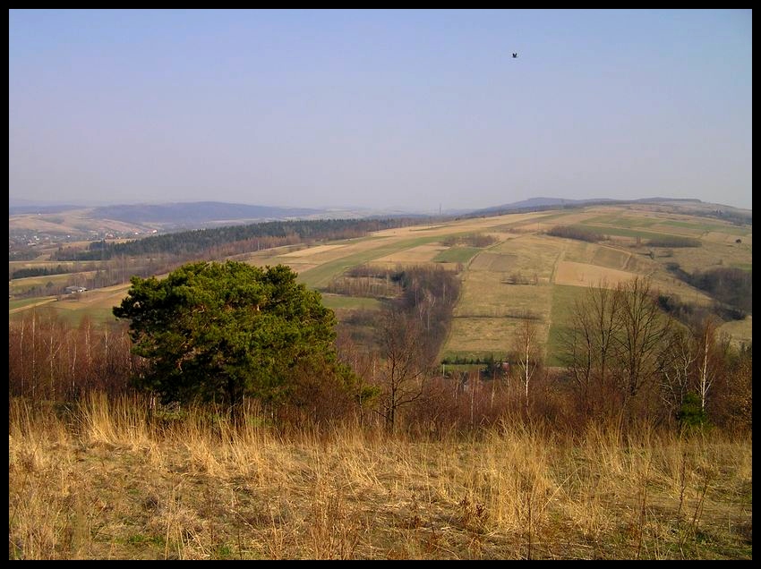 Wiosna