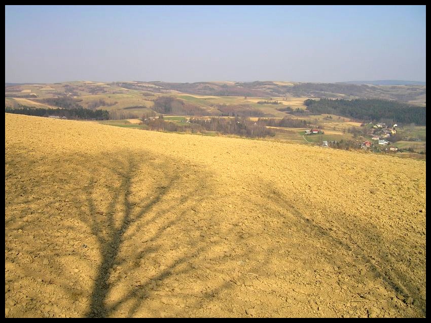 Wiosna