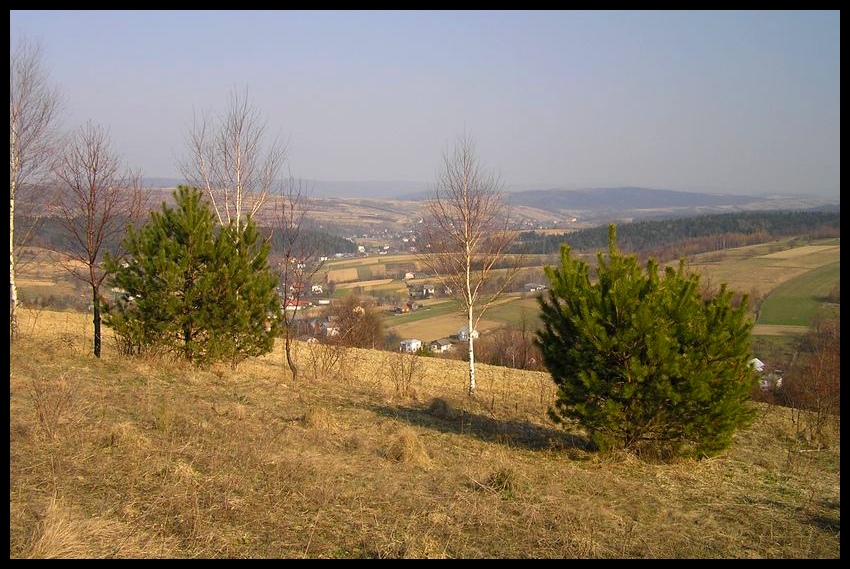 Wiosna