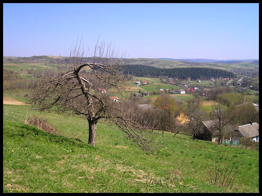Wiosna