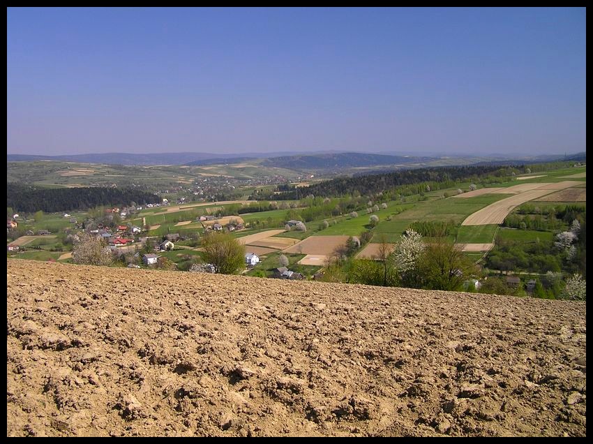 Wiosna