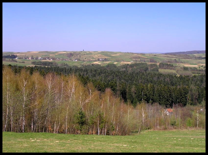 Wiosna