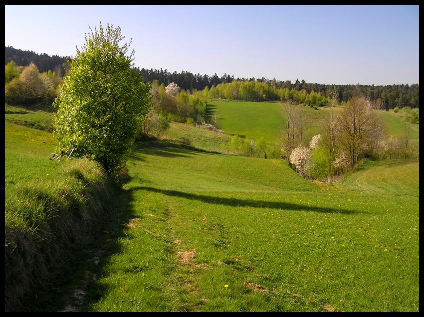 Wiosna