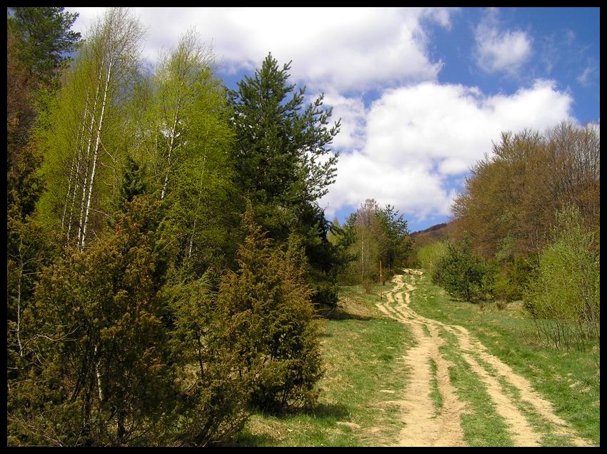 Wiosna