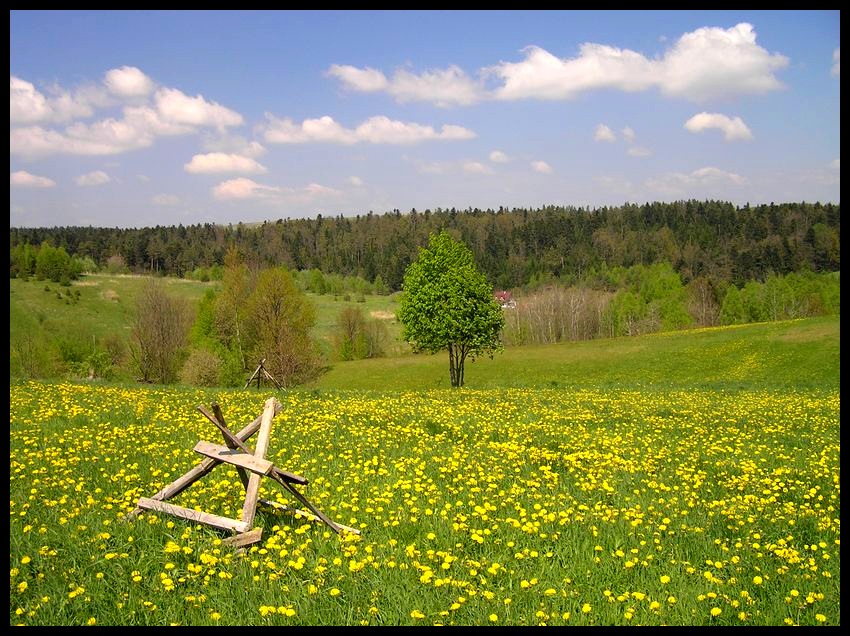 Wiosna