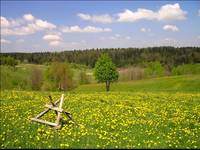 Wiosna