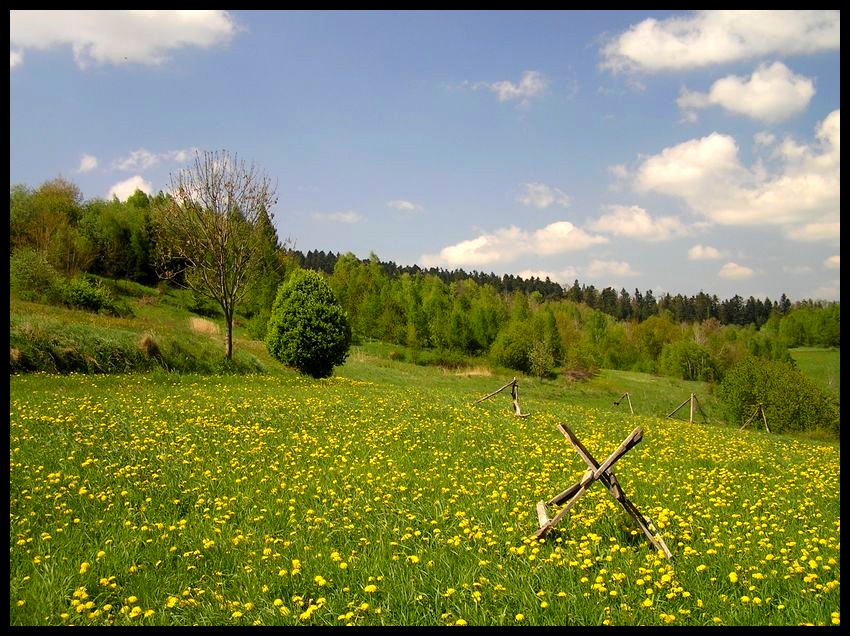 Wiosna