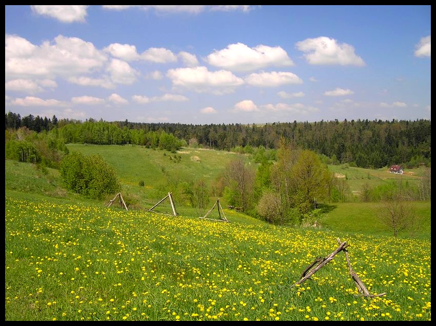 Wiosna