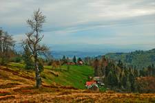 Mieszkać w górach... [5]