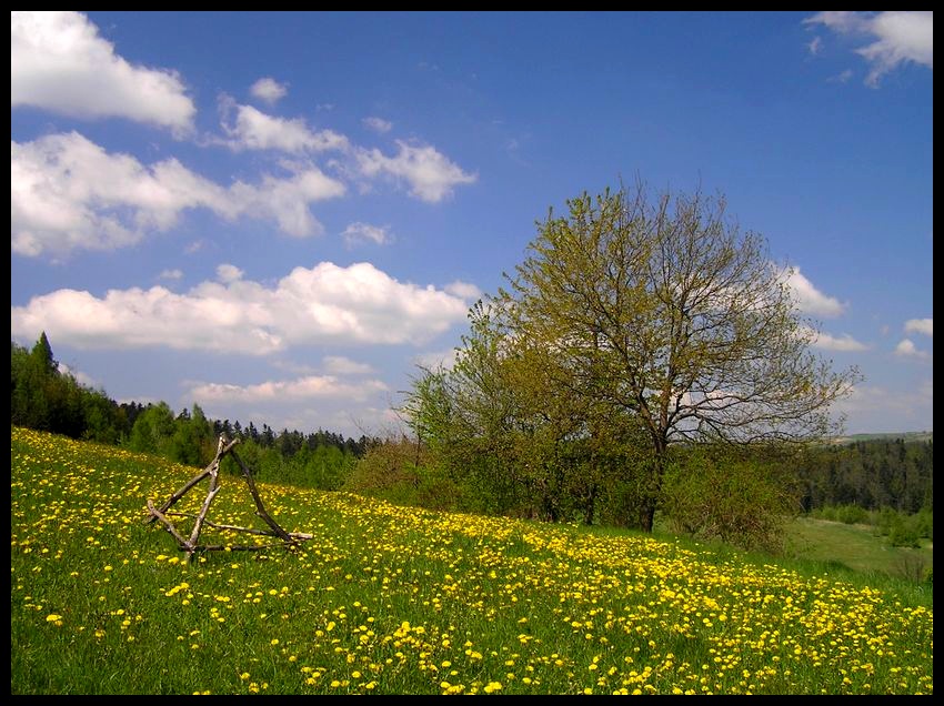 Wiosna