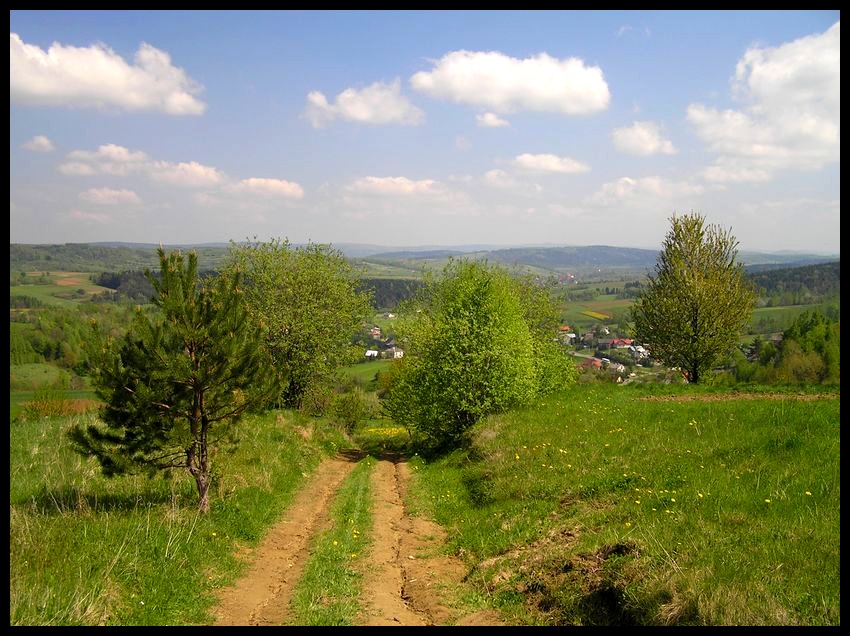 Wiosna