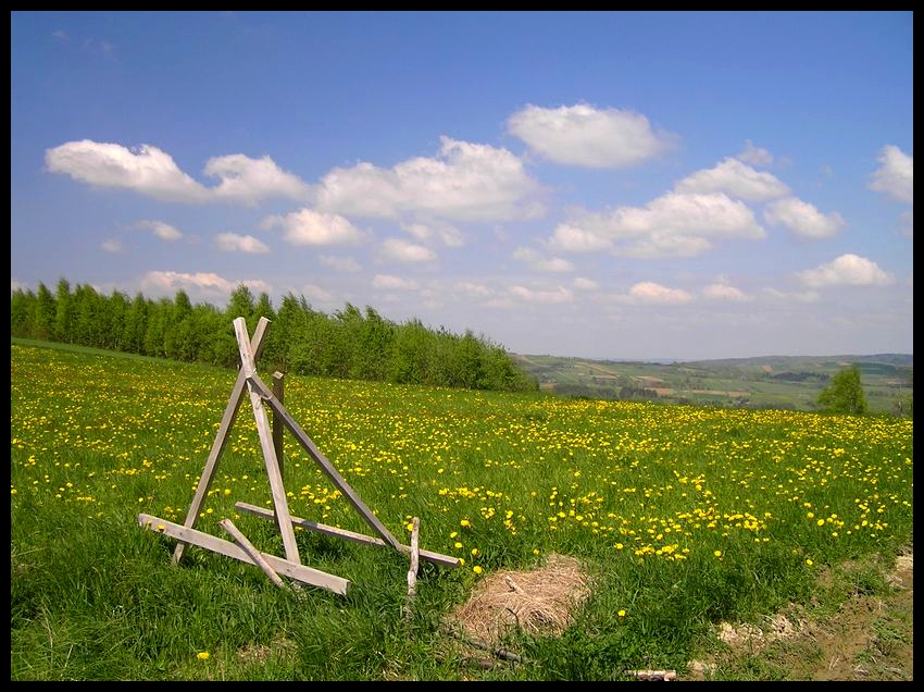 Wiosna