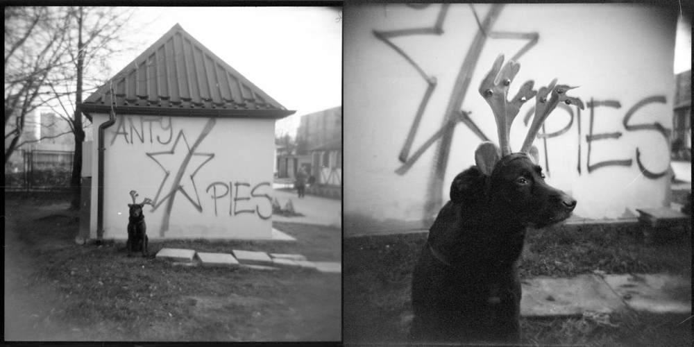 love_ridden