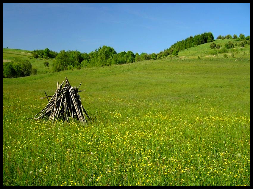 Wiosna