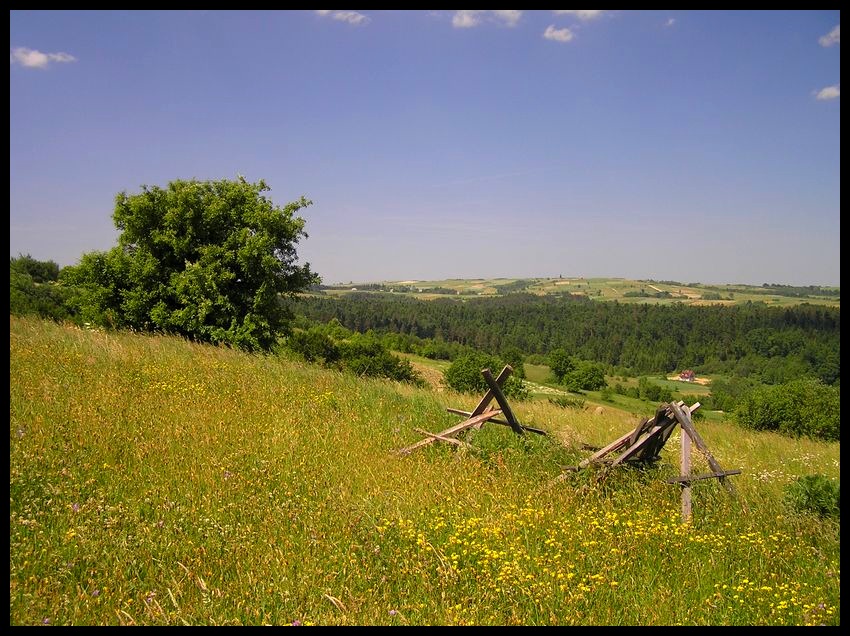Wiosna