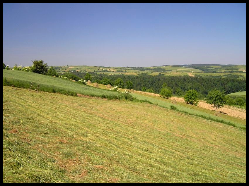 Wiosna