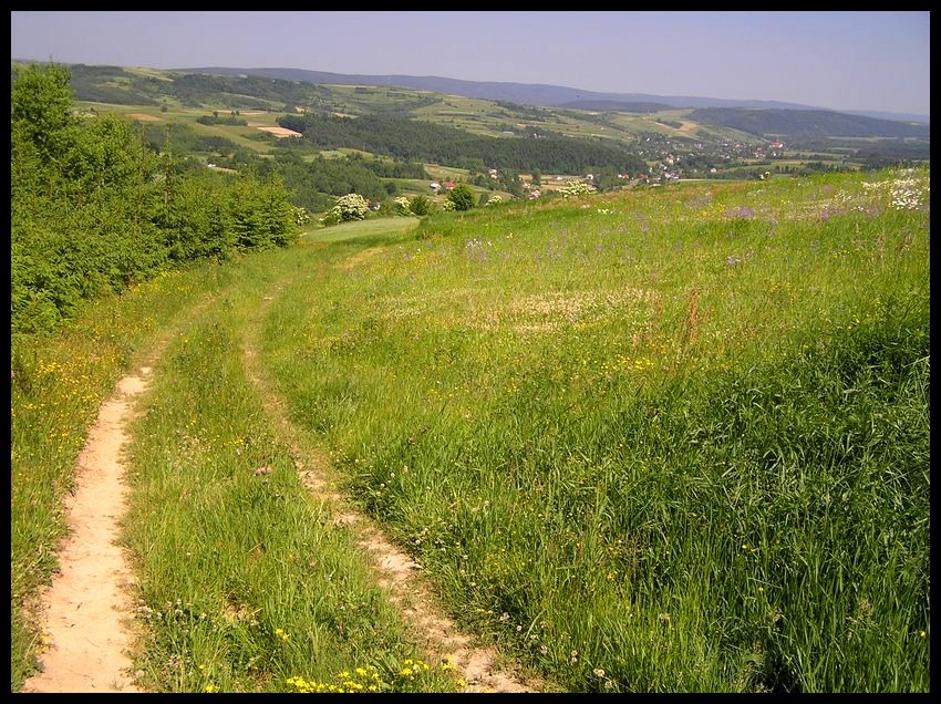 Wiosna