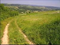 Wiosna