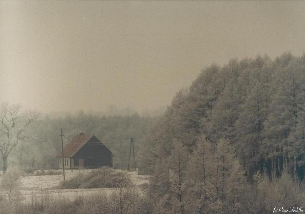 Zima