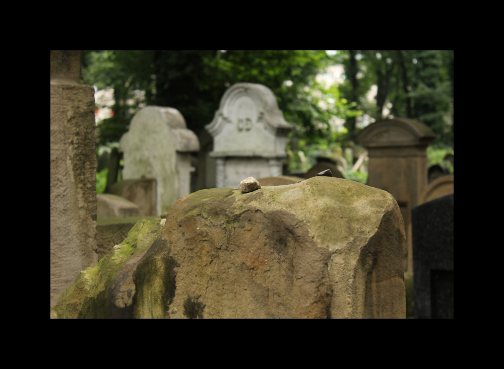 Prezes_19
