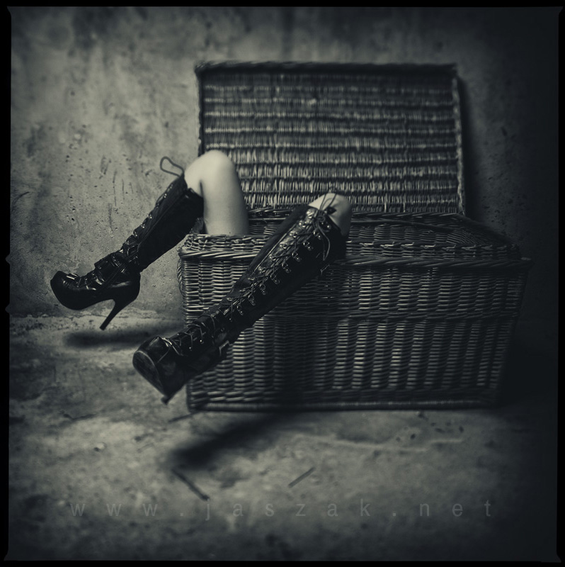 toy