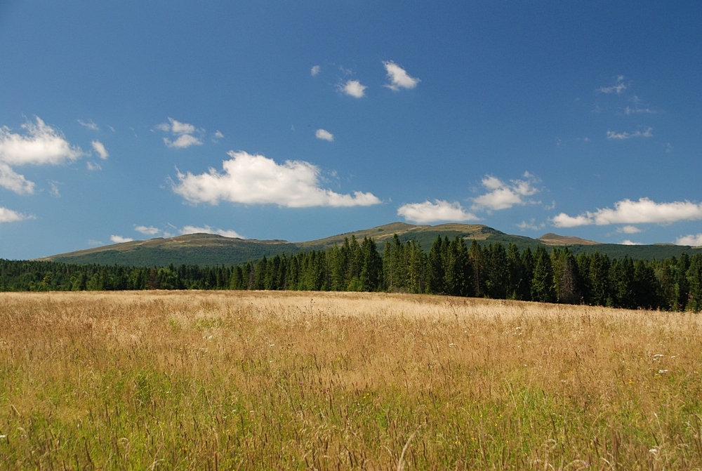 BUKOWIEC (Bieszczady)