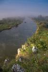 Starorzecze