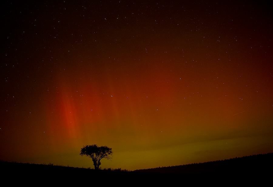 Northern lights cz. 14