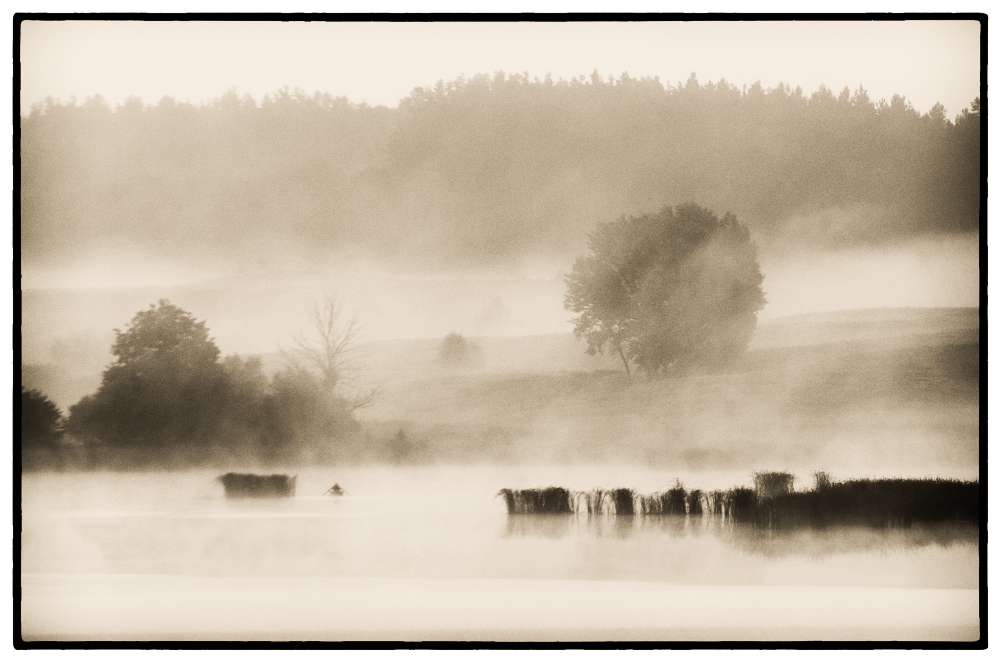 The Angler