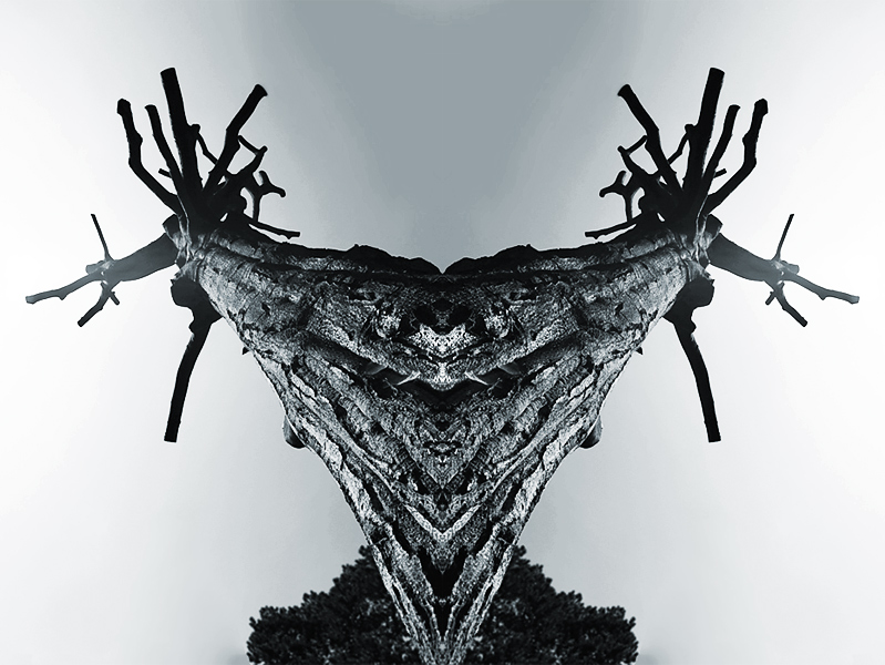 Vidar syn Odyna