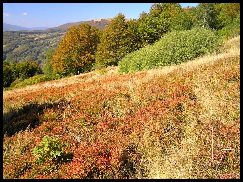 Bieszczady