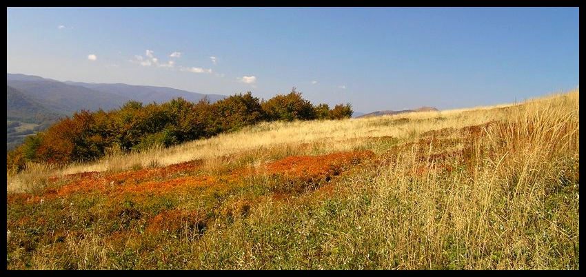 Bieszczady