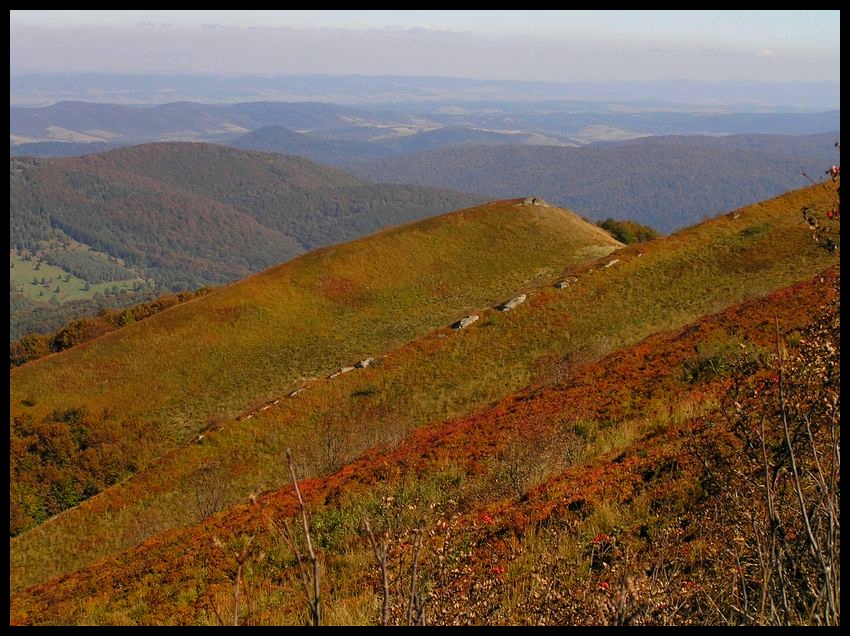 Bieszczady