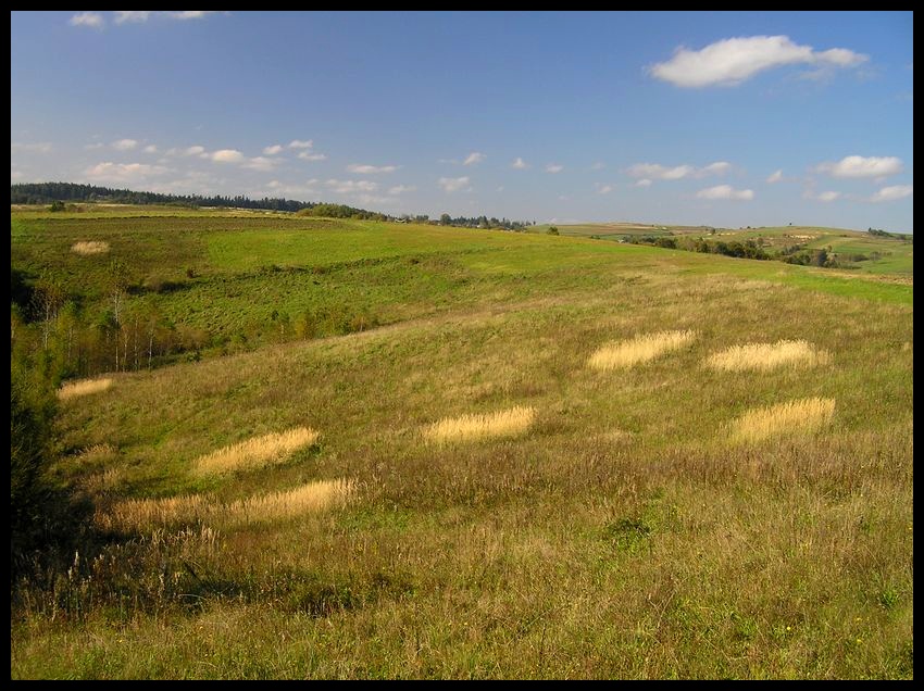 Wczesna jesień