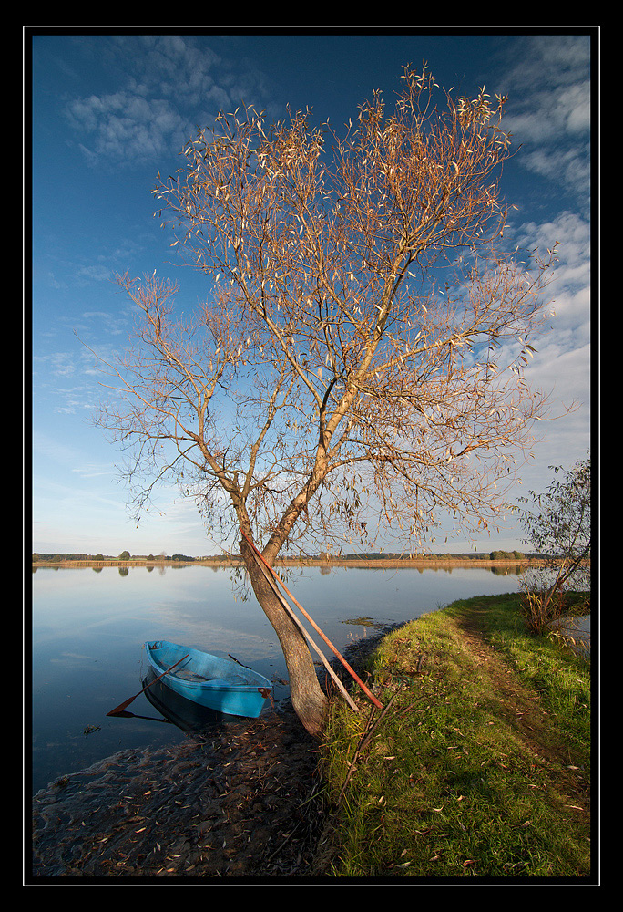 bardwy jesieni 2