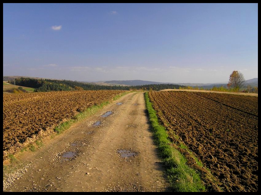Jesień