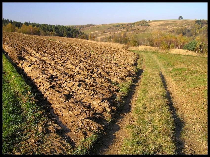 Jesień