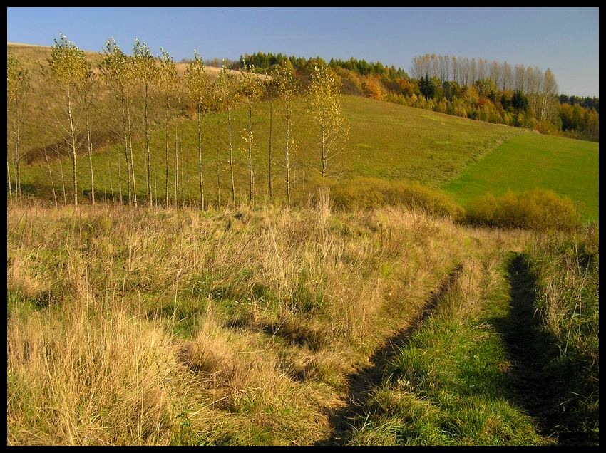 Jesień
