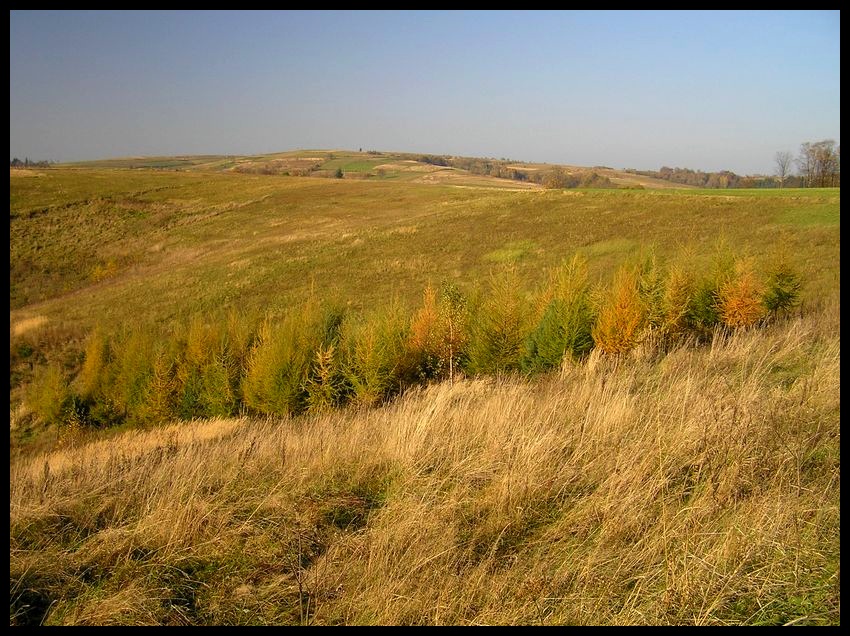 Jesień
